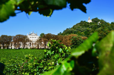 VILLA DEGLI OLMI_11